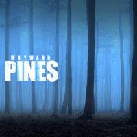 Wayward Pines : la série de Shyamalan sera diffusé en simultané sur Canal +