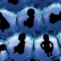 Fécondation In Vitro : bébés éprouvette en danger ?