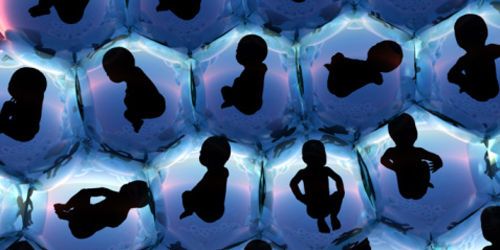 Fécondation In Vitro : bébés éprouvette en danger ?