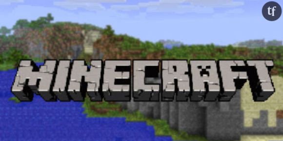 Minecraft : le jeu devrait sortir sur la Nintendo Wii U