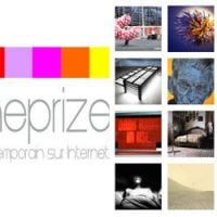 Opline Prize : L’art  contemporain sur la toile 