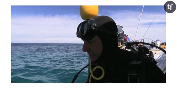 Enquête Exclusive : Bernard de la Villardière attaqué par un requin (Vidéo)