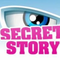 "Secret Story 5" : Ayem, Anthony, Zelko et Daniel sont nominés