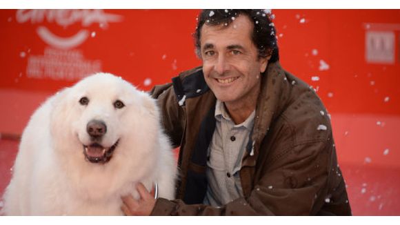 Nicolas Vanier est scandalisé par l'affaire des chiens abandonnés