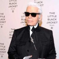 Karl Lagerfeld : sa chatte Choupette se lance dans le maquillage