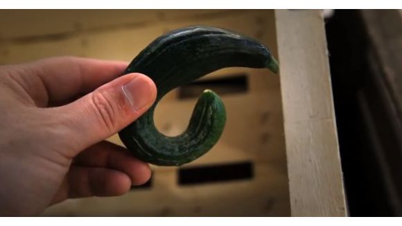 Intermarché goûte au succès de ses fruits et légumes “moches” - vidéo