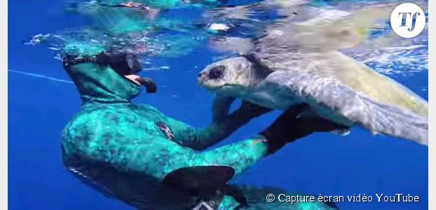 Une tortue remercie un plongeur de l’avoir sauvée - en vidéo