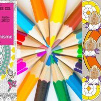 Coloriages pour adultes : le gros succès surprise des libraires vous fera-t-il zénifier ?