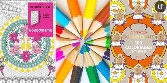 Coloriages pour adultes : le gros succès surprise des libraires vous fera-t-il zénifier ?