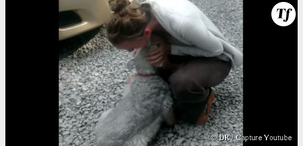 Un chien s’évanouit de joie en revoyant sa maîtresse partie 2 ans à l’étranger - video