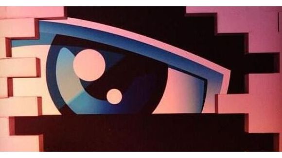 Secret Story 2014 : Geoffrey maltraite un chaton (vidéo) 