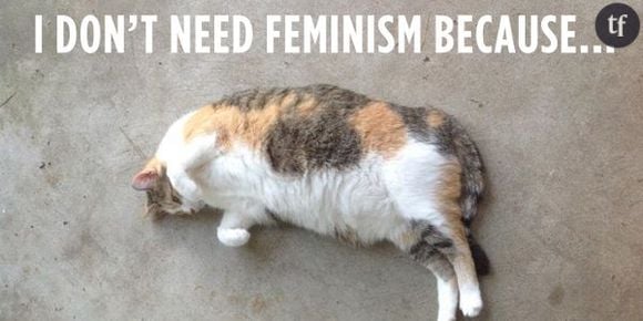 Confused Cats Against Feminism : quand les chats ridiculisent les anti-féministes