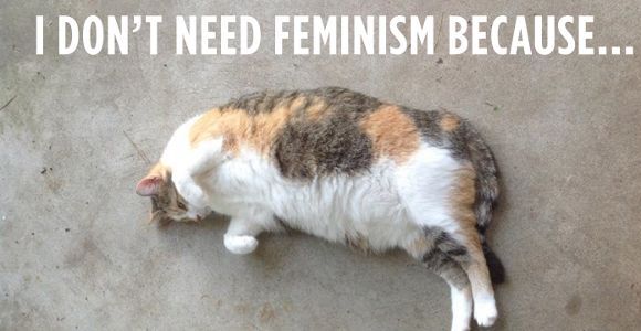 Confused Cats Against Feminism : quand les chats ridiculisent les anti-féministes