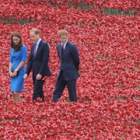 Kate Middleton, rayonnante dans un champ de coquelicots