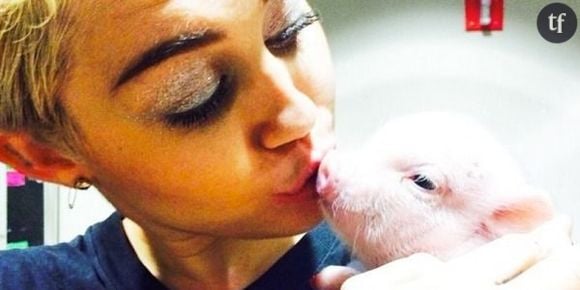 Miley Cyrus a adopté un cochon