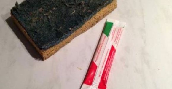 LeBonCoin : une annonce totalement folle pour une éponge sale