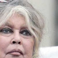 Brigitte Bardot, son mari Bernard d'Ormale et le FN