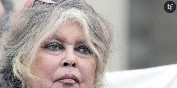 Brigitte Bardot, son mari Bernard d'Ormale et le FN