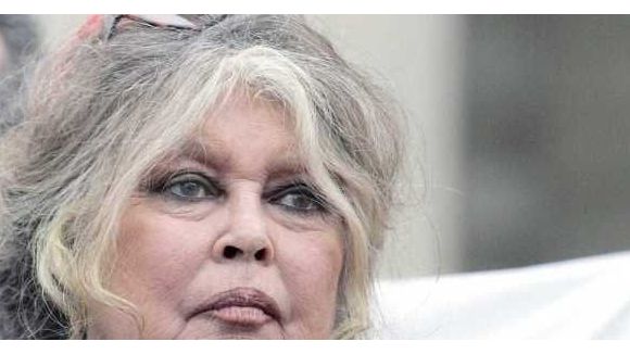 Brigitte Bardot, son mari Bernard d'Ormale et le FN