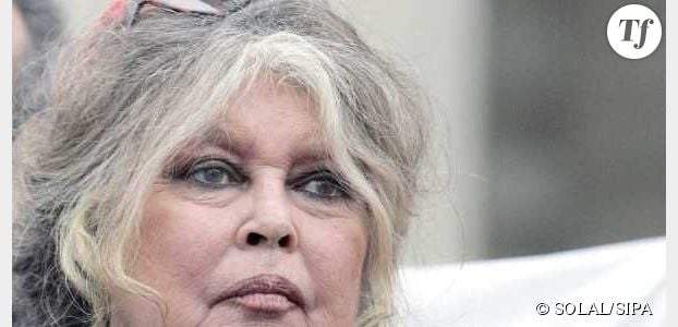 Brigitte Bardot, son mari Bernard d'Ormale et le FN