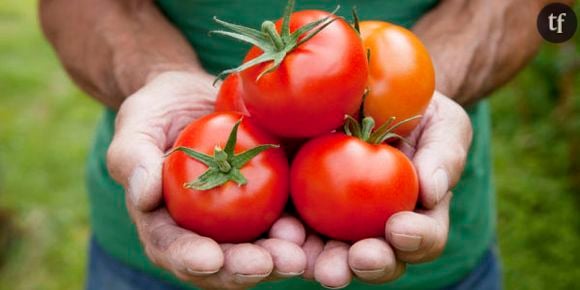 Le burger de tomates, on vous explique tout en moins de 4 minutes – Vidéo