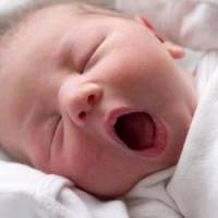 « Baby-boom » : l'accouchement devient spectacle sur TF1
