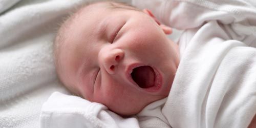 « Baby-boom » : l'accouchement devient spectacle sur TF1