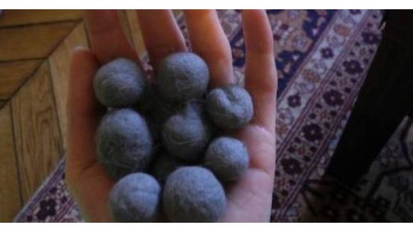 LeBonCoin : une annonce totalement dégoûtante pour des boulettes de poils