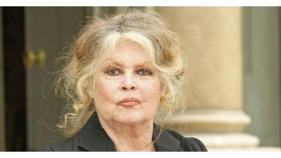 Brigitte Bardot aux jihadistes : "j'en prendrais un et je lui ferais la peau"