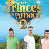 Princes de l'amour 2 : la date de diffusion sur W9 dévoilée