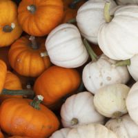 Les aliments typiques de l’automne qui vous re-boostent 