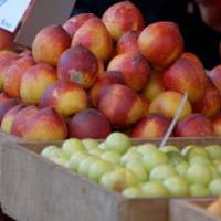 Fruits d'été : une qualité qui laisse à désirer