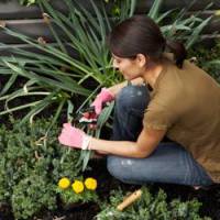Et si je prenais un cours de city-jardinage ?