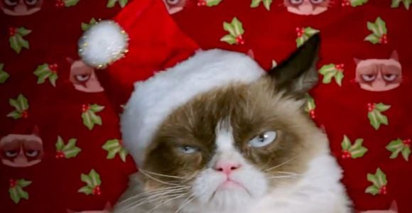 4 astuces pour protéger votre sapin des griffes de votre maudit chat