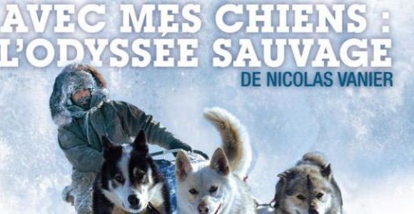  "L'Odyssée sauvage" : que sont devenus les chiens de Nicolas Vanier ? 