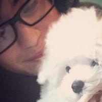 Demi Lovato : son adorable chien Buddy à son compte Twitter
