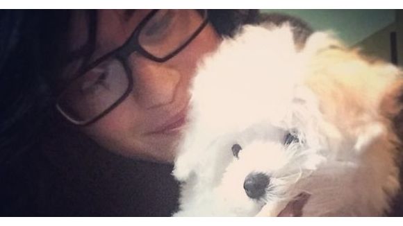 Demi Lovato : son adorable chien Buddy à son compte Twitter