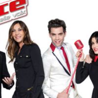 The Voice 2015 : Jenifer, Zazie, Florent Pagny et Mika de retour sur TF1 Replay