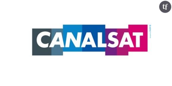 HD1 et 6Ter : les chaînes sont disponibles sur le réseau CanalSat