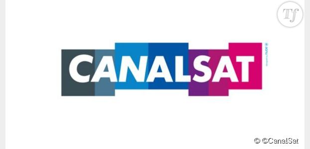 HD1 et 6Ter : les chaînes sont disponibles sur le réseau CanalSat