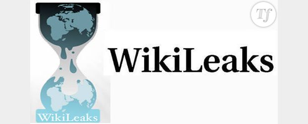 Wikileaks dévoile l'identité d'informateurs américains