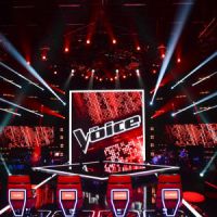 The Voice 2015 : les candidats sélectionnés équipe par équipe