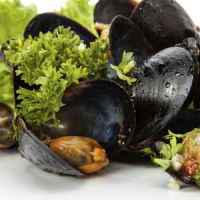 Moules : combien faut-il acheter de kilos / grammes par personne ?