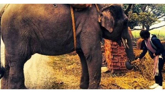 Nathalie Péchalat : les photos de son voyage en Inde