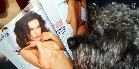 LeBonCoin : annonce pour une photo coquine de chien !