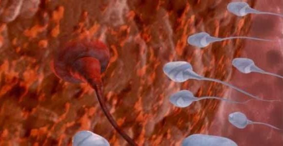 SpermCheck : un test de fertilité masculine pour savoir en 7 minutes