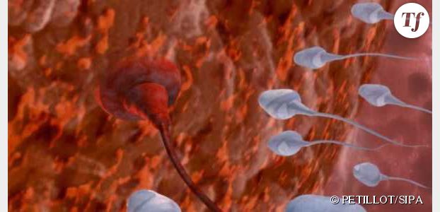 SpermCheck : un test de fertilité masculine pour savoir en 7 minutes