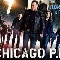 Chicago Police Department (P.D.) : date de diffusion de la saison 2 en VF sur TF1 ?