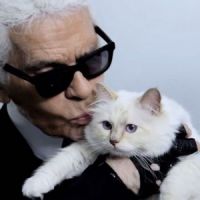 Karl Lagerfeld totalement fou d'amour pour sa Choupette