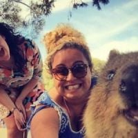 Les selfies de quokka, la tendance la plus cute de 2015